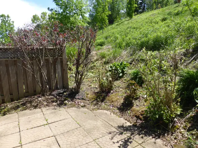 Spacious west-end ground-level registered unit. - Photo 25