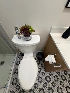 House cleaner - Photo 2