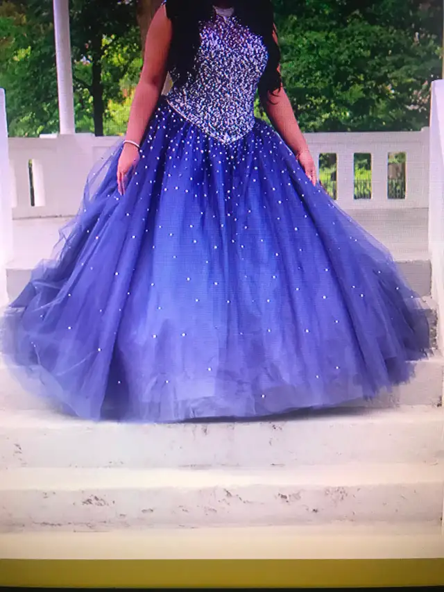 Ball Gown Dress (Sweet 16) - Photo 4