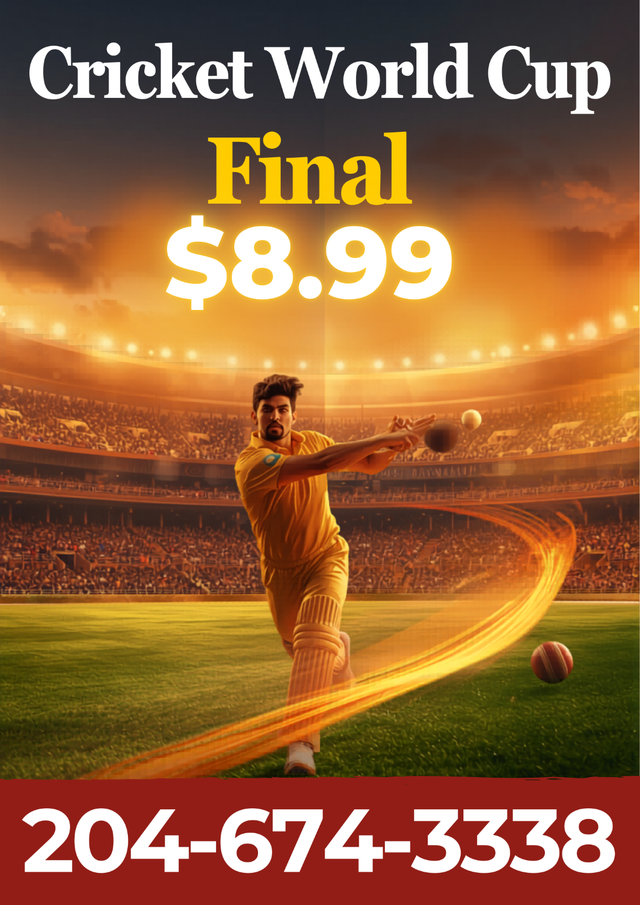 The Ultimate Cricket Night – World Cup Final LIVE for $8.99!