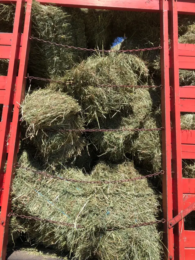 hay, choice 1 st cut sm bales