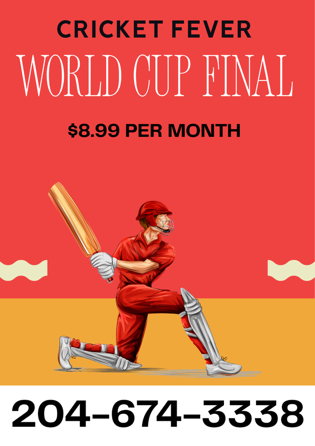 Cricket World Cup Final – $8.99