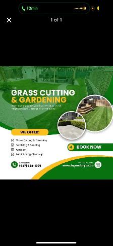 Grass cutting / Oakville