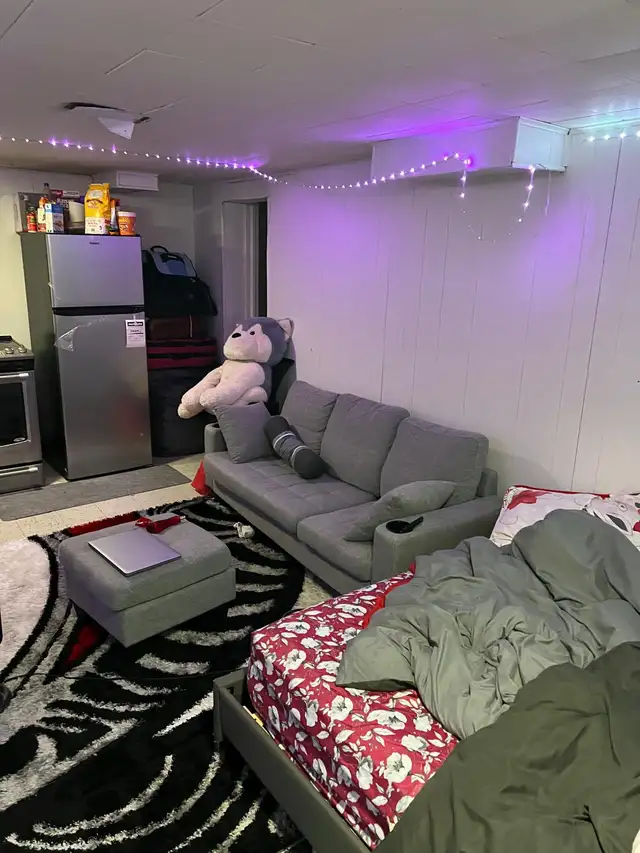 Studio Basement Apartment in Applewood Heights - Mississauga - Photo 6