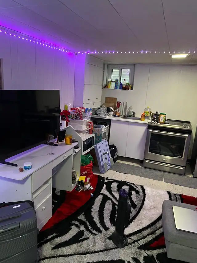 Studio Basement Apartment in Applewood Heights - Mississauga - Photo 7