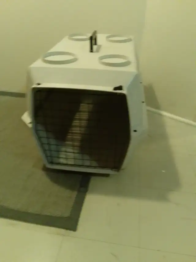 Medium Dog Kennel 24'lx16'wx16'h