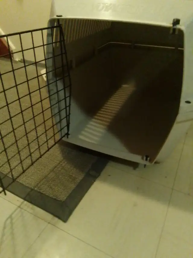 Medium Dog Kennel 24'lx16'wx16'h - Photo 3