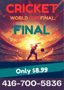 Cricket World Cup Final Live Streaming – Only $8.99