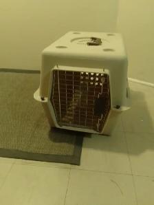 Small Dog Carriers  21'lx15'wx15'h