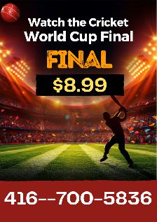 Cricket World Cup Final Live Streaming Access – $8.99