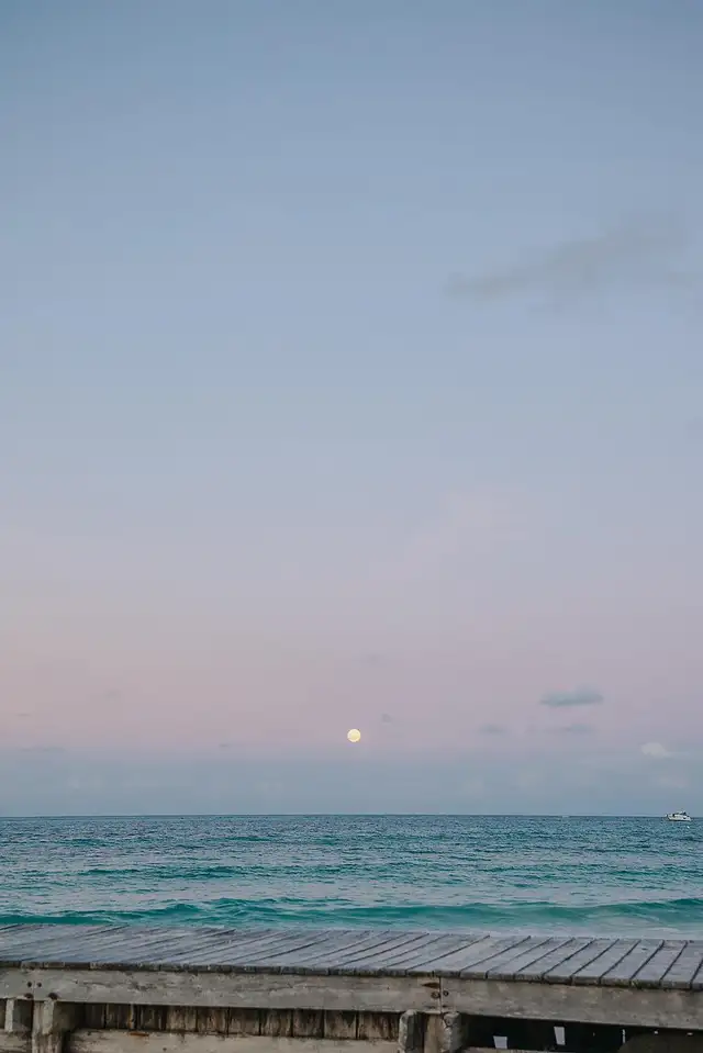 cash job- Cook for Indian street food restaurant