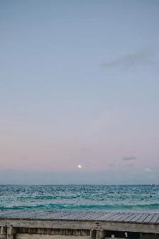 cash job- Cook for Indian street food restaurant