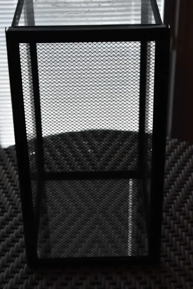 5 Gallon Terrarium - Photo 2