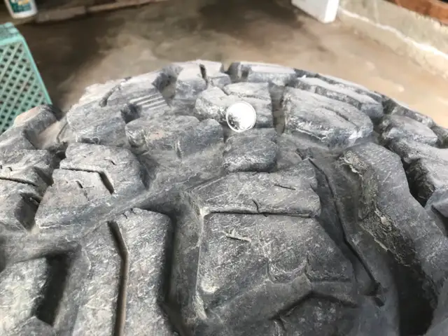 39.5x16.50x15LT Pit Bull Rockers - Photo 3