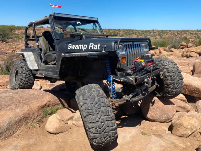 39.5x16.50x15LT Pit Bull Rockers - Photo 4