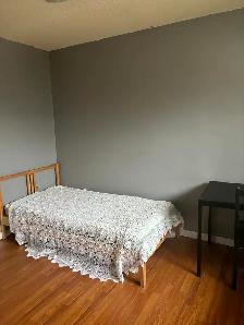 rent a room for student or female professional - Photo 5
