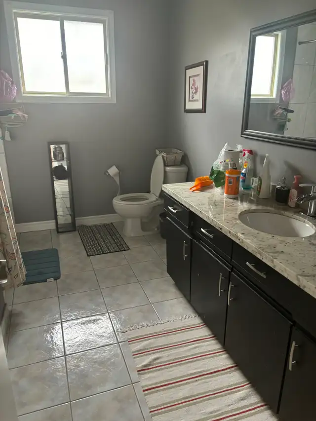 rent a room for student or female professional - Photo 6