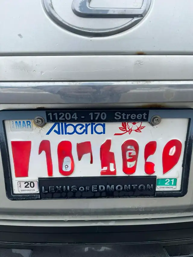 2004 Lexus RX330 - Photo 10