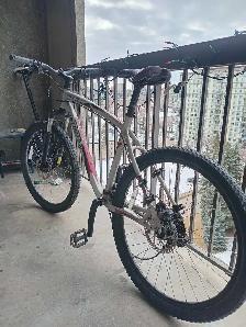 Specialized hard rock sport