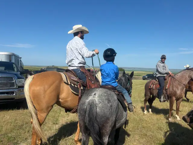 Beautiful AQHA Palomino mare - Photo 7