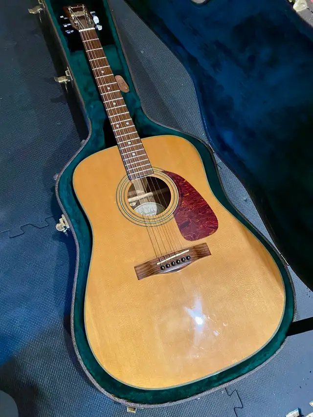 Fender acoustic with case