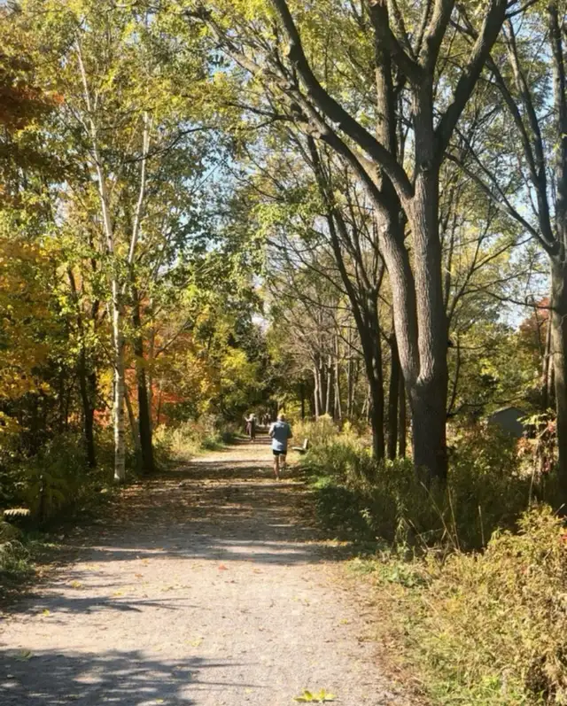 1 bedroom apartment - all inclusive- across from beach & trails - Photo 7