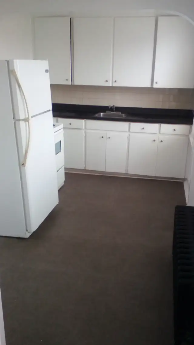 Large 1 bedroom apt. Jackson Park. Incl. Heat/Water. $1200 - Photo 6