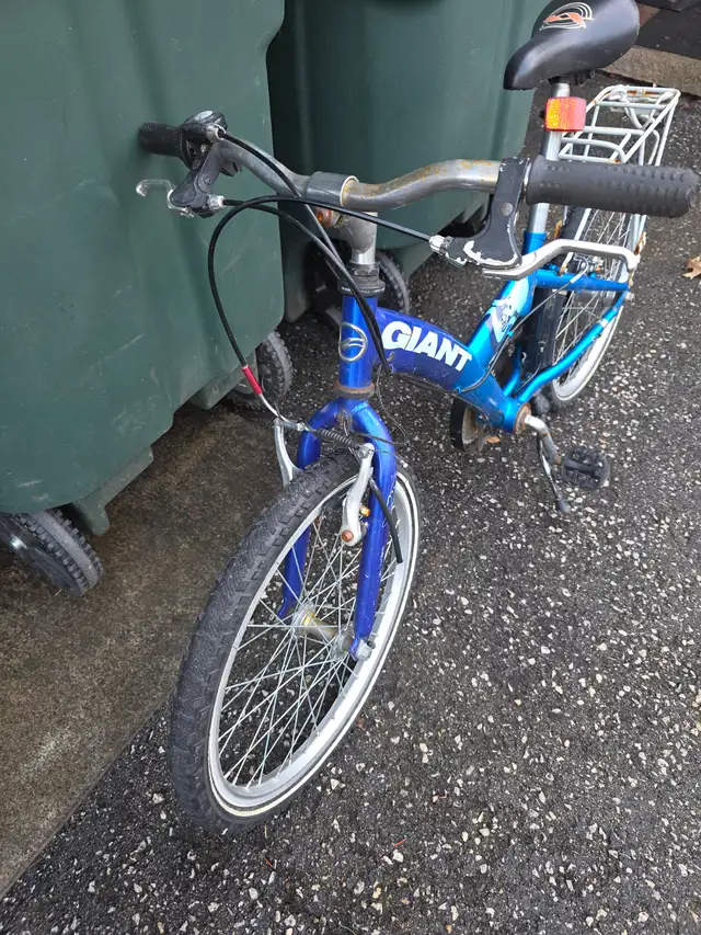 Giant Fixx Kids Single Speed Bicycle - Photo 3