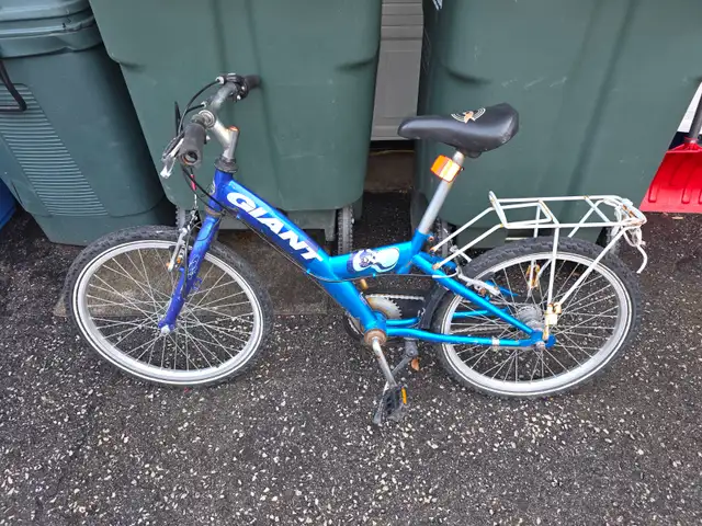 Giant Fixx Kids Single Speed Bicycle - Photo 4