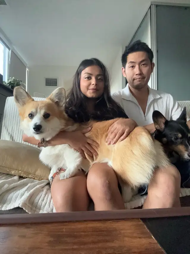 Pet sitting | boarding | day care | dog walking services - Photo 4