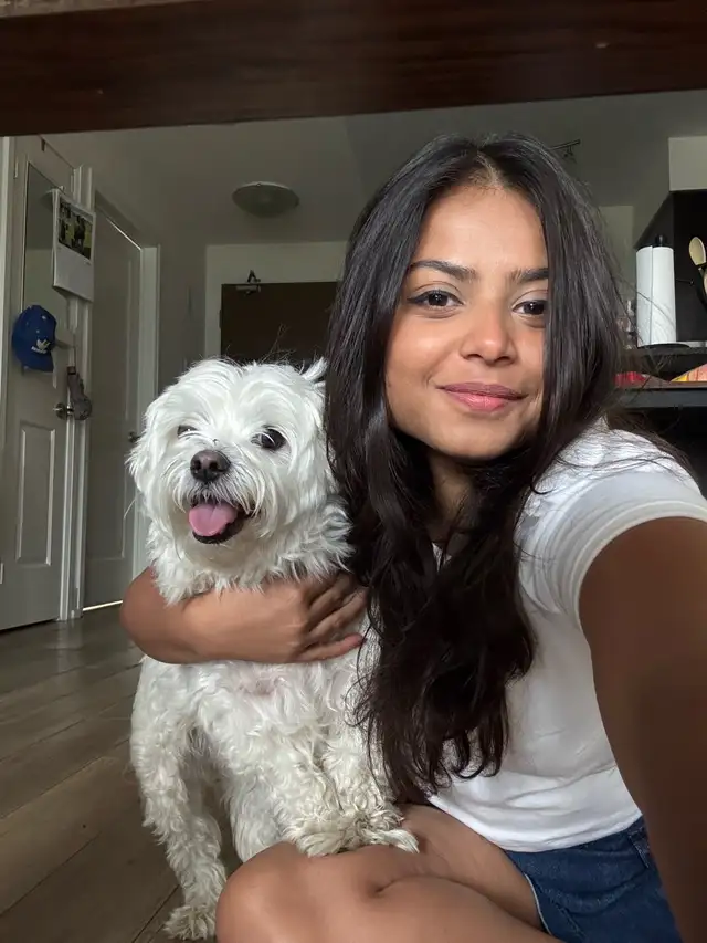 Pet sitting | boarding | day care | dog walking services - Photo 5