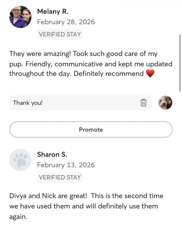 Pet sitting | boarding | day care | dog walking services - Photo 6