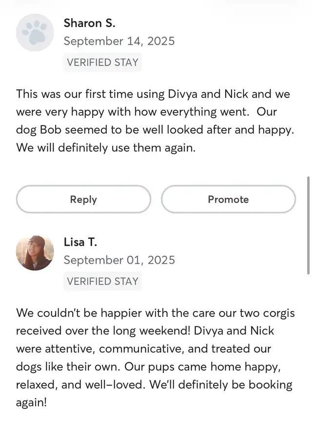 Pet sitting | boarding | day care | dog walking services - Photo 7