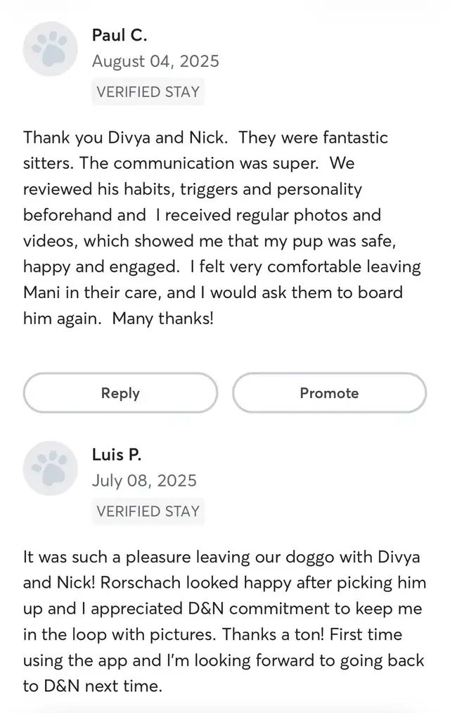 Pet sitting | boarding | day care | dog walking services - Photo 8