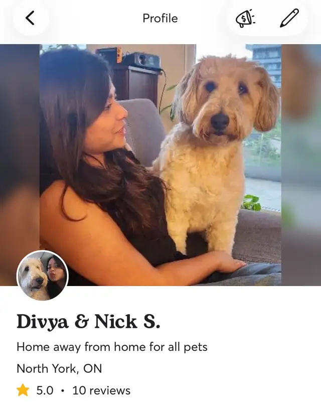 Pet sitting | boarding | day care | dog walking services - Photo 9