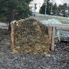 Rabbit Manure - Want Gone ASAP