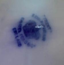 Trent Semi Porcelain Samuel  16" x 12". England - Photo 3