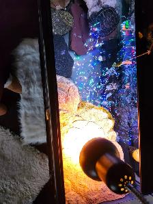 Red eared slider turtle - Photo 3