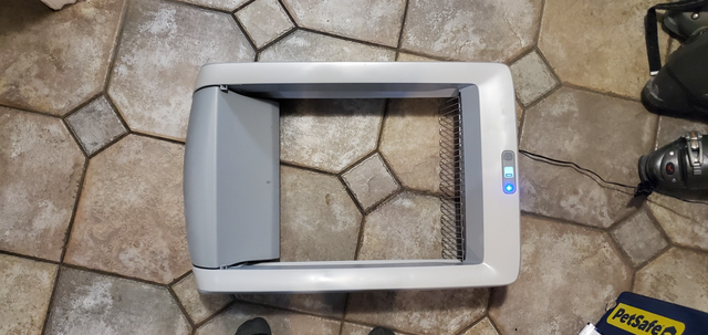 Scoopfree Self Cleaning Litter Box - Photo 4