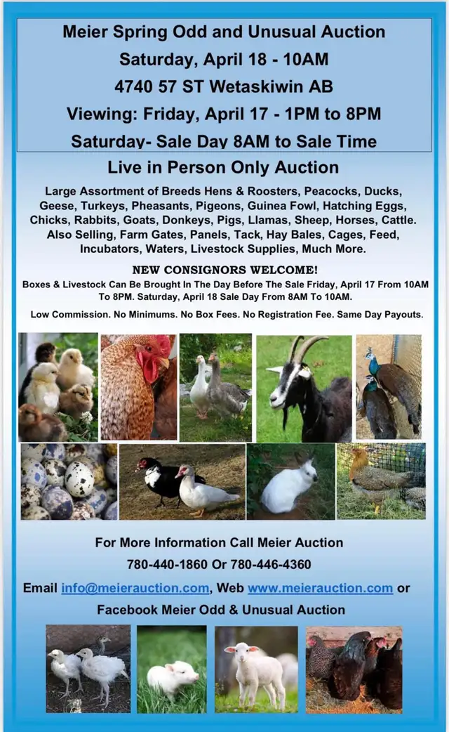 Meier Odd & Unusual Livestock Auction Sat, April 18-10am