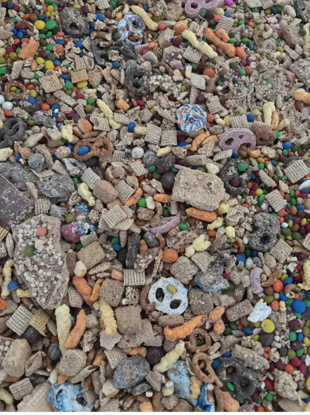 2026 Bear Bait - Photo 5