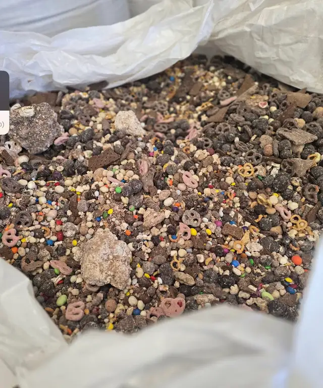 2026 Bear Bait - Photo 6