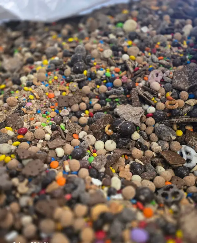 2026 Bear Bait - Photo 7