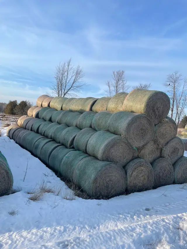 Hay for sale