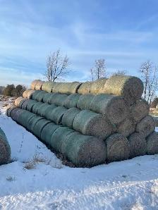 Hay for sale
