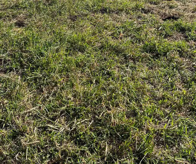 Grassland pasture for rent. 200 acres,