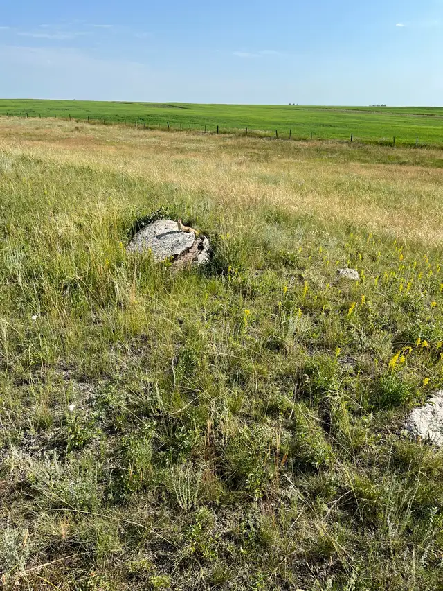 Grassland pasture for rent. 200 acres, - Photo 2