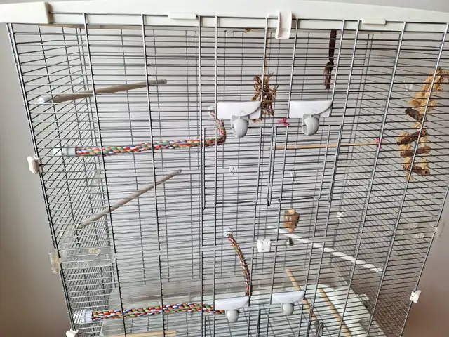 Cage a oiseau  encore 2 jour a 60 $ - Photo 3