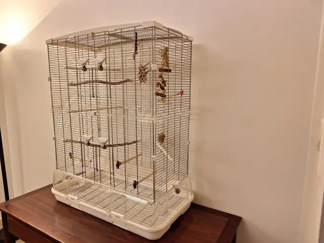Cage a oiseau  encore 2 jour a 60 $ - Photo 8