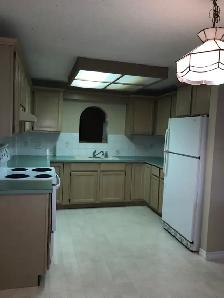 Sherwood Park Lakeside walkout basement suite - Photo 4